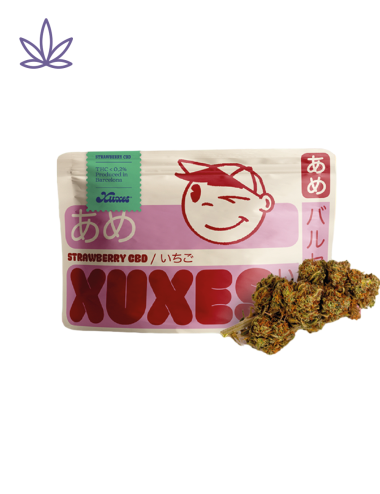 STRAWBERRY 3 GR - XUXES...