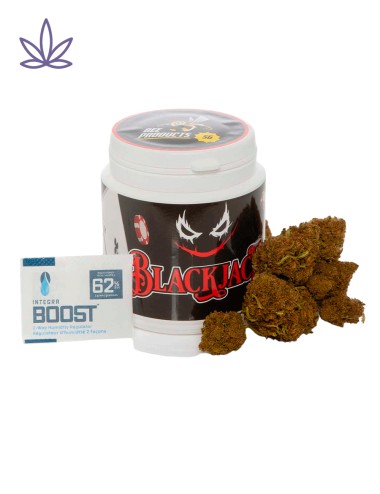 BlackJack CBD Bee Products