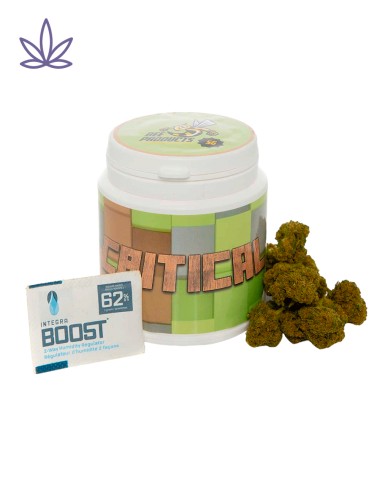 Critical CBD Bee Products